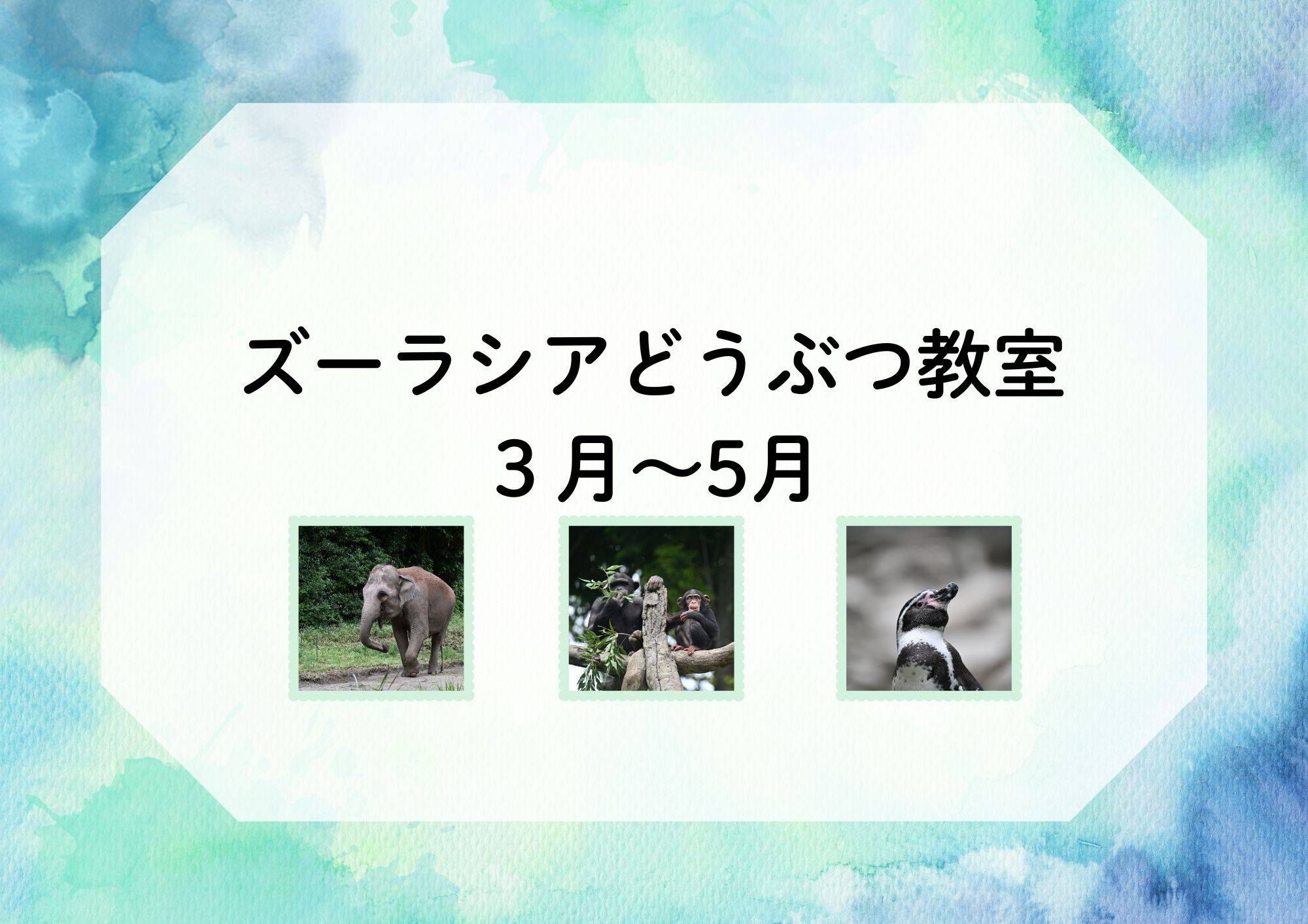 【3月～5月】ズーラシアどうぶつ教室（毎週日曜）の写真
