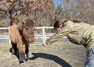 午年なので、馬たちの似顔絵描いてみた！～後編～
