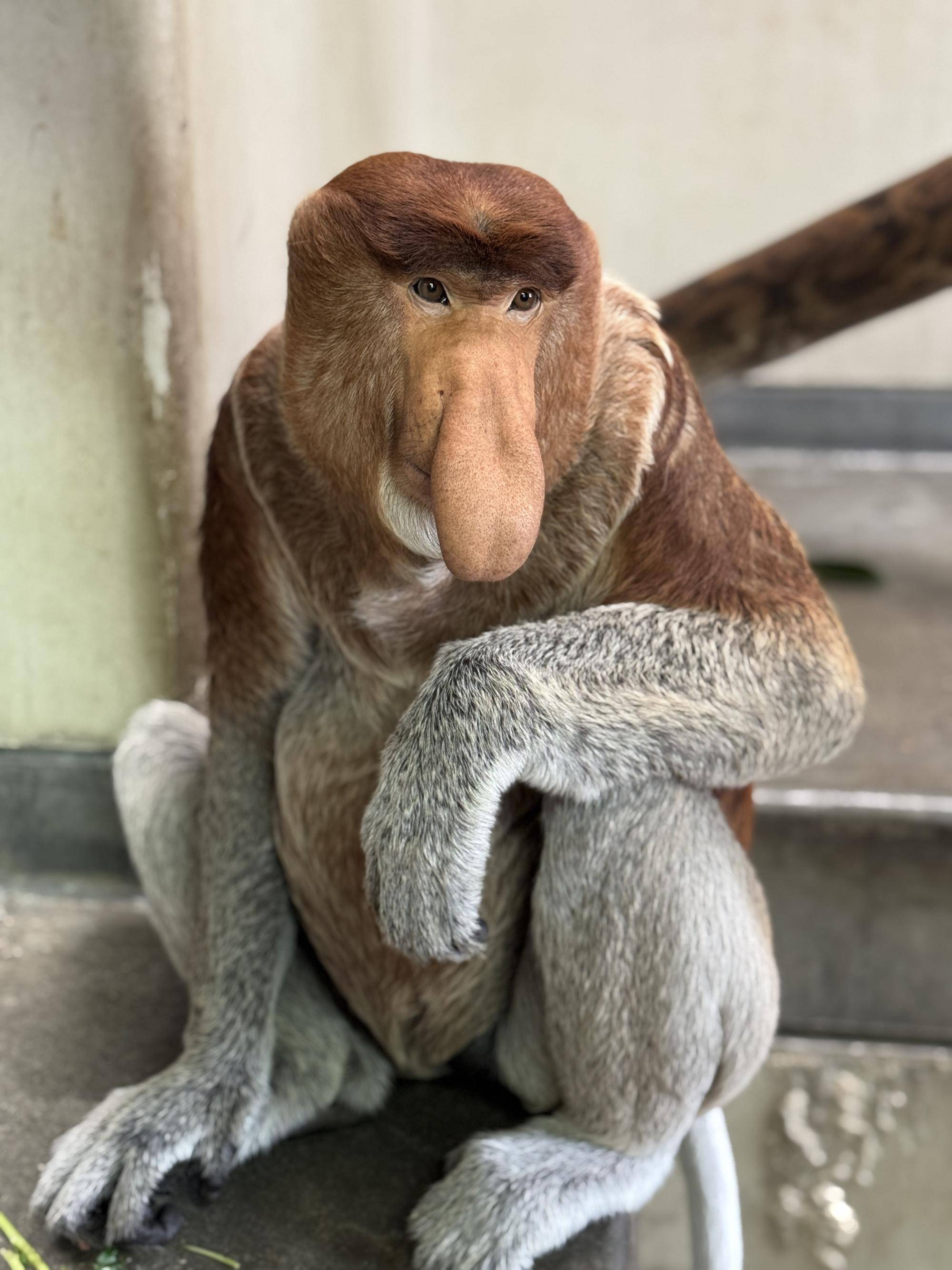 ゲンキのステキな写真☆*+。の写真