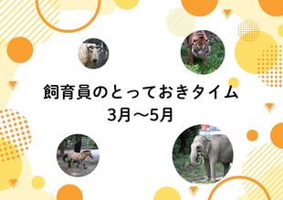 【3月～5月】飼育員のとっておきタイム