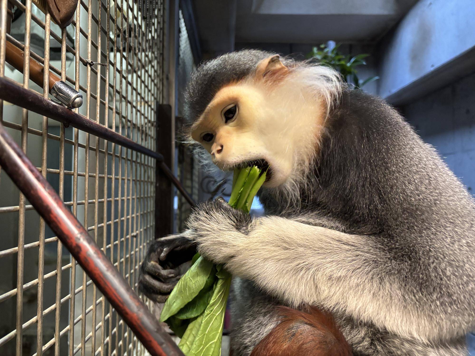 いい食べっぷり🥬の写真