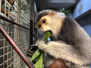 いい食べっぷり🥬