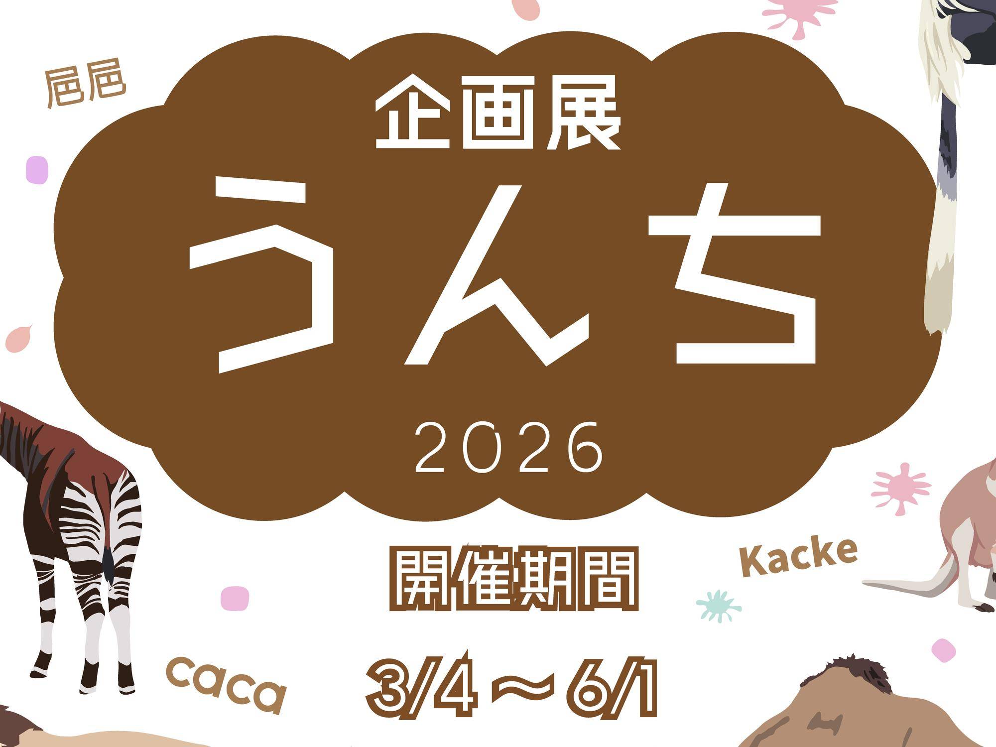 企画展「うんち」の写真