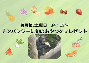 【令和8年度】チンパンジーに旬のおやつをプレゼント