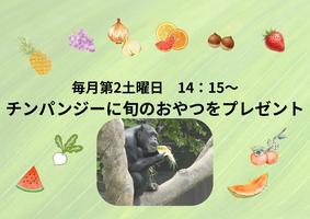 【令和8年度】チンパンジーに旬のおやつをプレゼントの画像