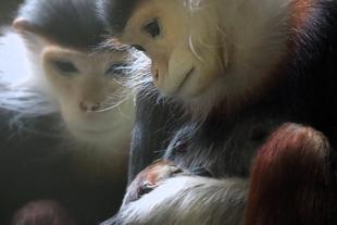 祝！生まれたよ！！！！！