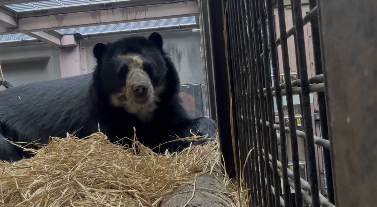 雪雄のこだわりの写真