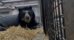 雪雄のこだわり