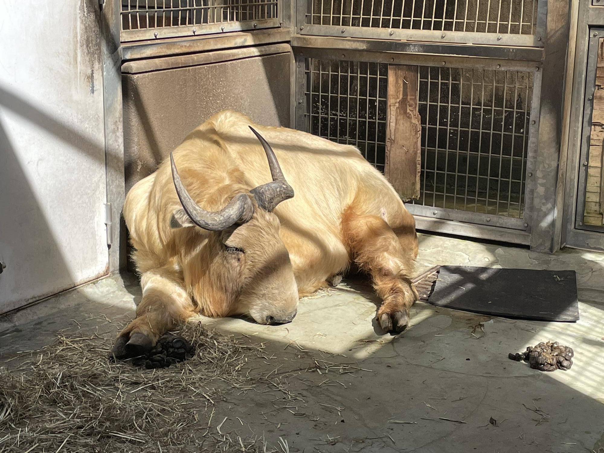 ひなたぼっこの季節の写真