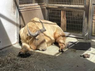 ひなたぼっこの季節