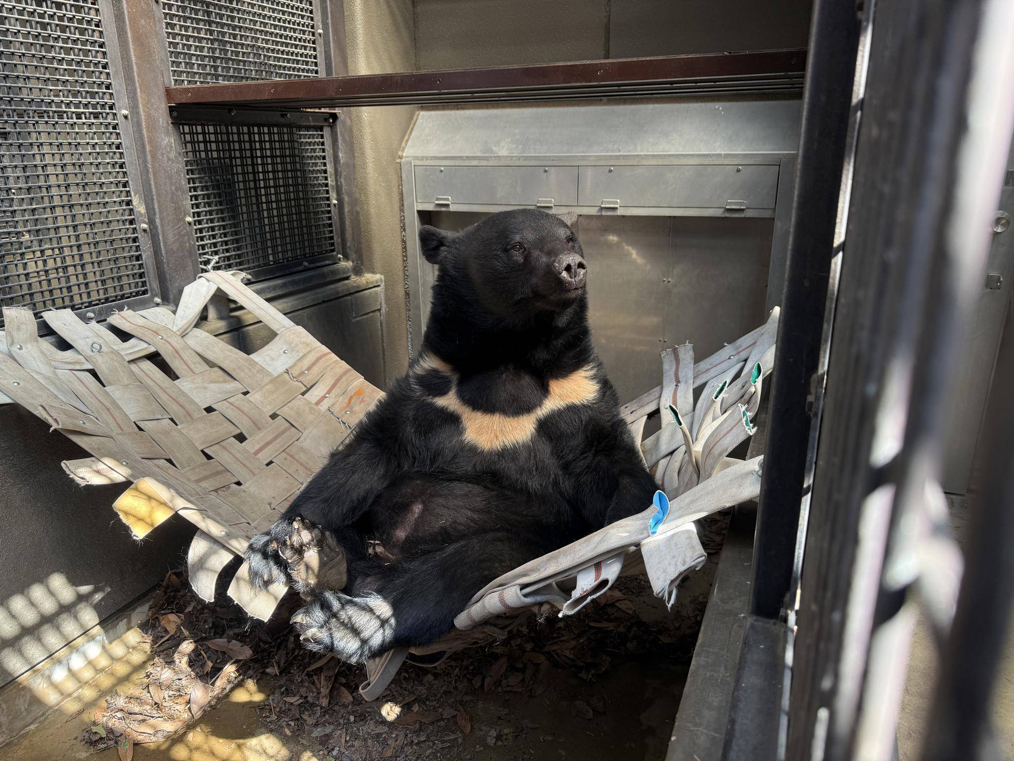 サンペイ近況報告の写真