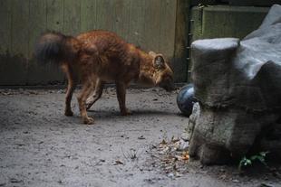 海の公園からもらったブイ☆*+。