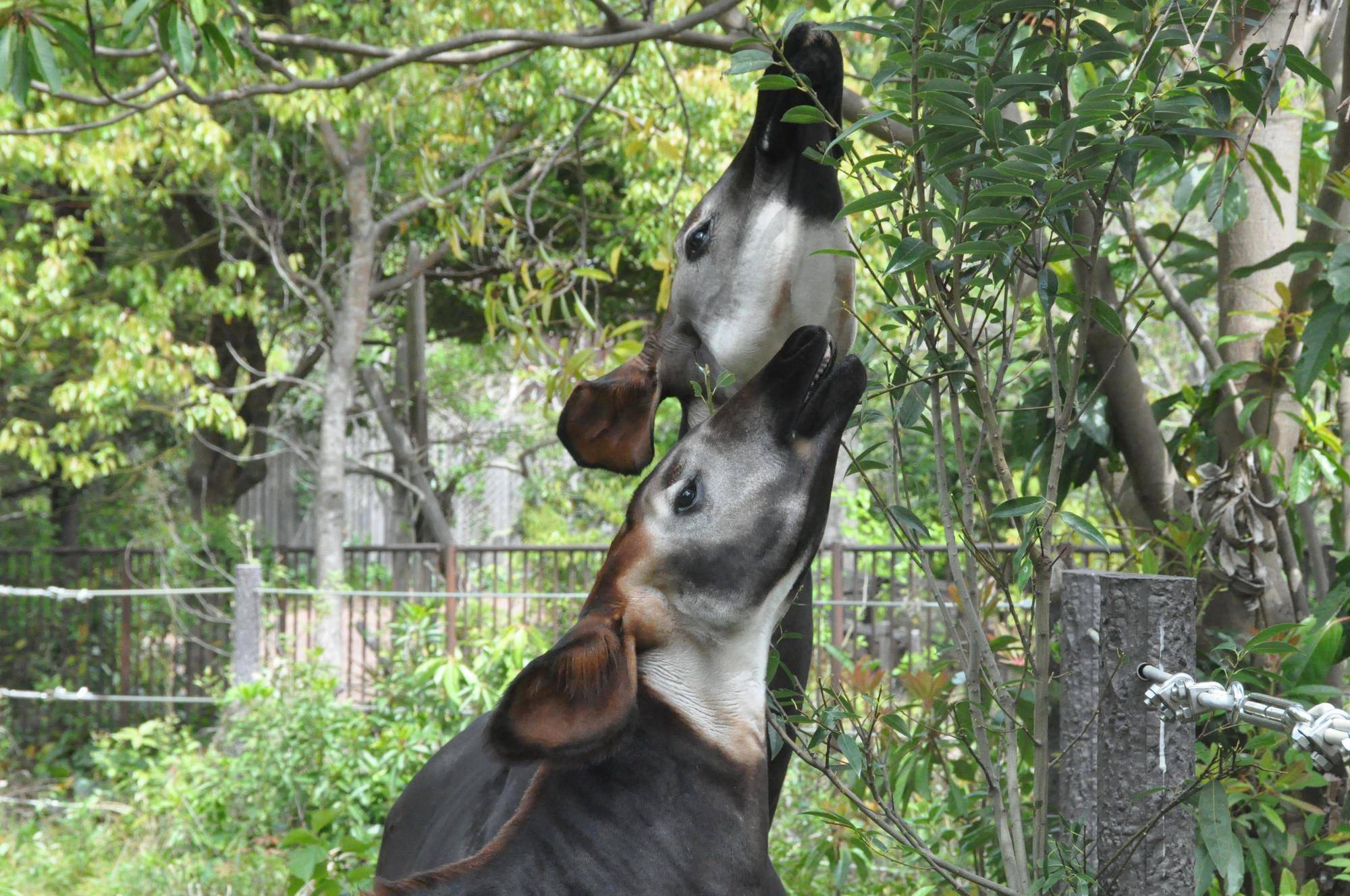 そろそろ春！！の写真