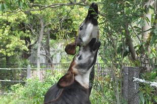 そろそろ春！！