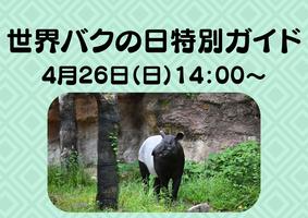 世界バクの日特別ガイドを行いますの画像