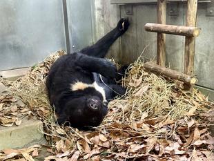 サンペイ近況報告②