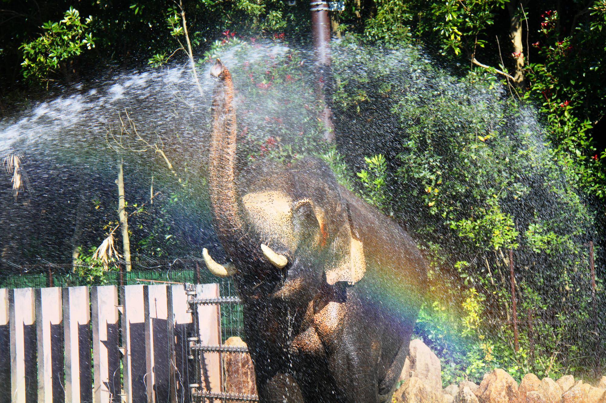 ラスクマルのあそこ　最終回の写真