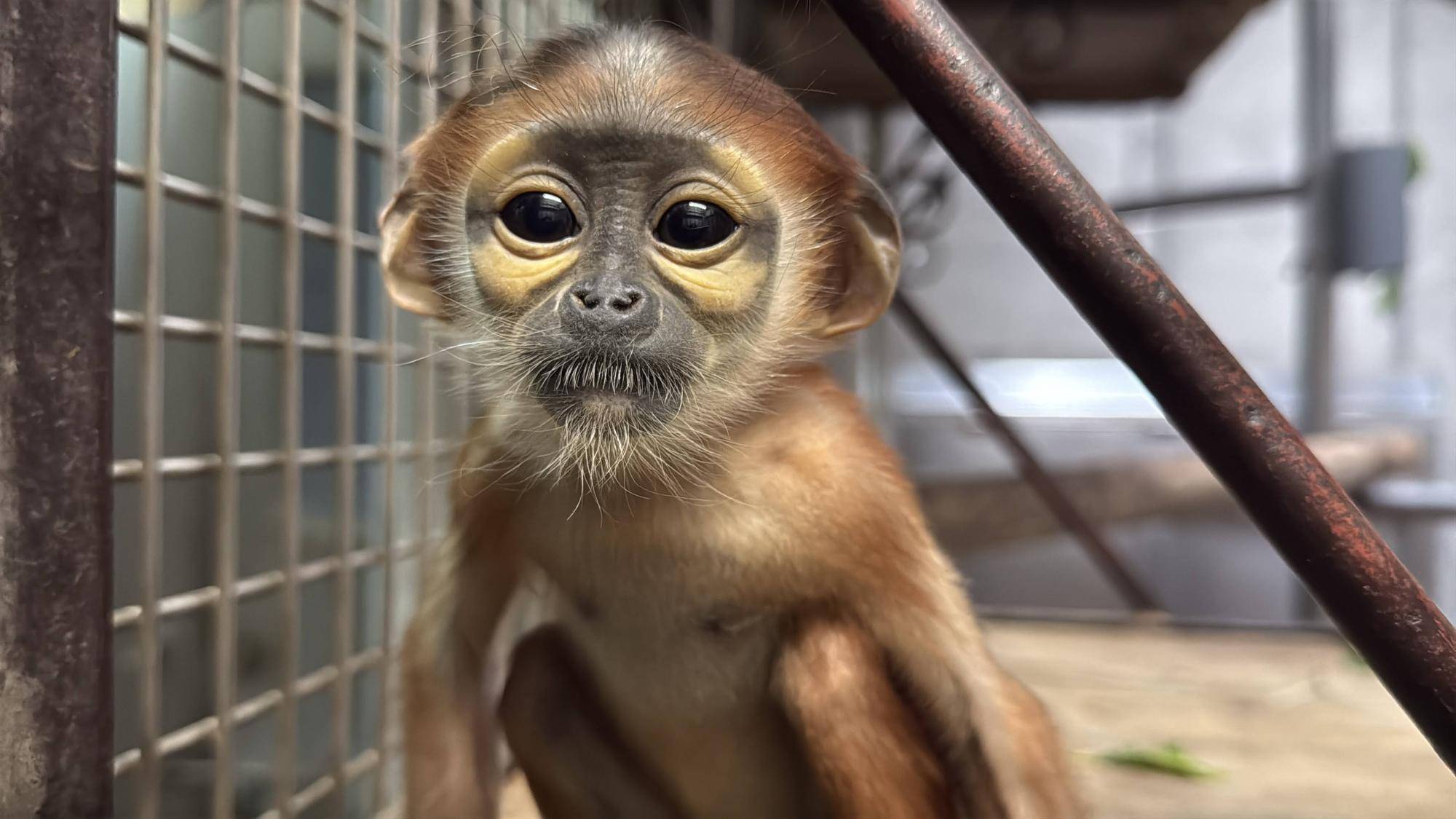 赤ちゃん生後1か月から今！！🍃の写真