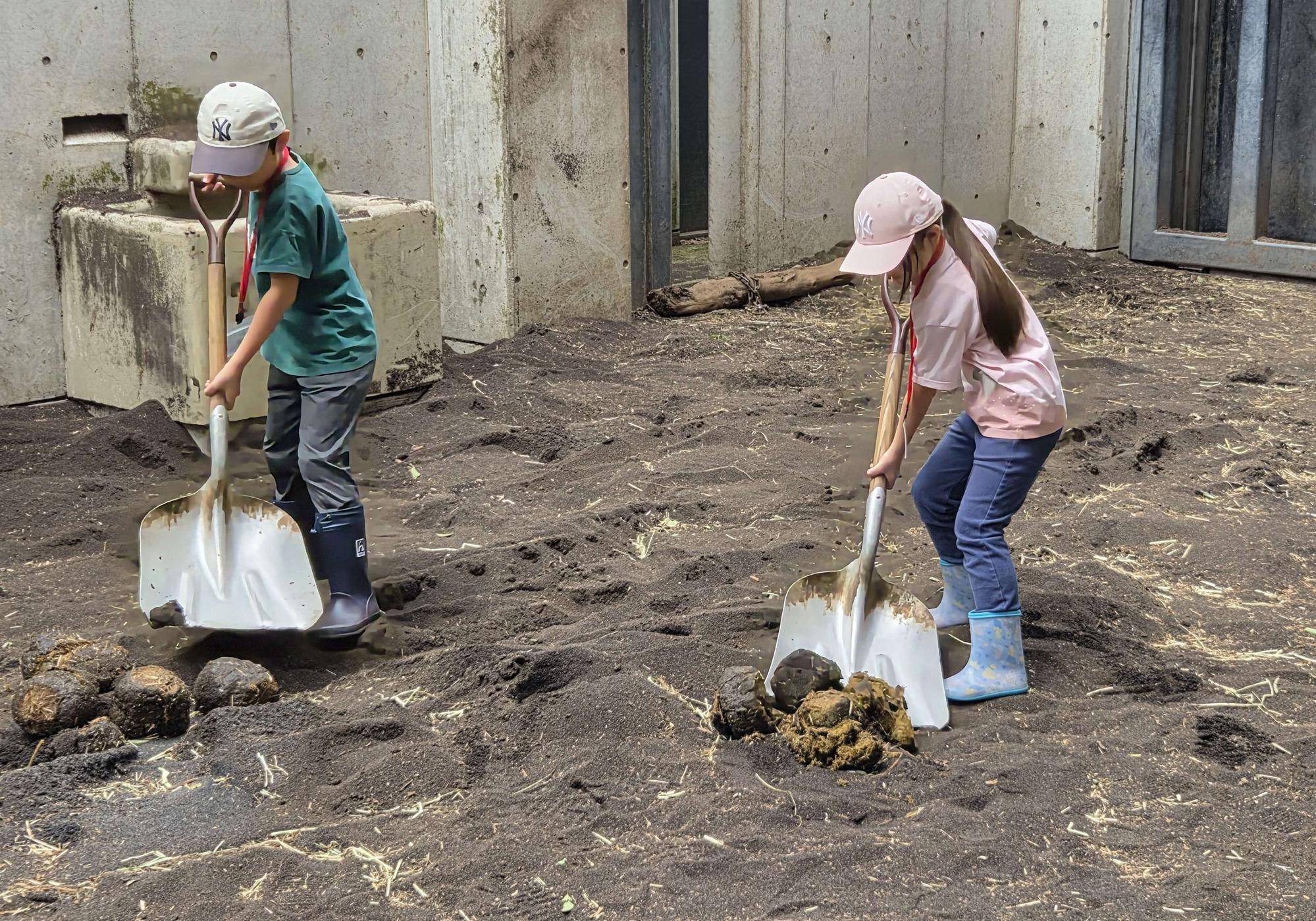 令和８年度【小学４～６年生対象】一日飼育体験の写真