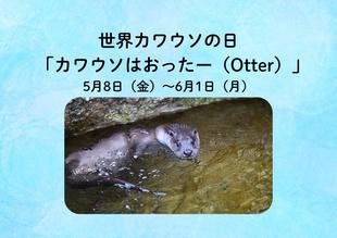  世界カワウソの日「カワウソはおったー（Otter）」を開催します！