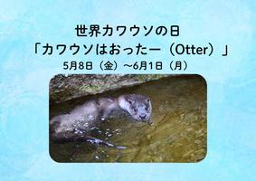  世界カワウソの日「カワウソはおったー（Otter）」を開催します！の画像