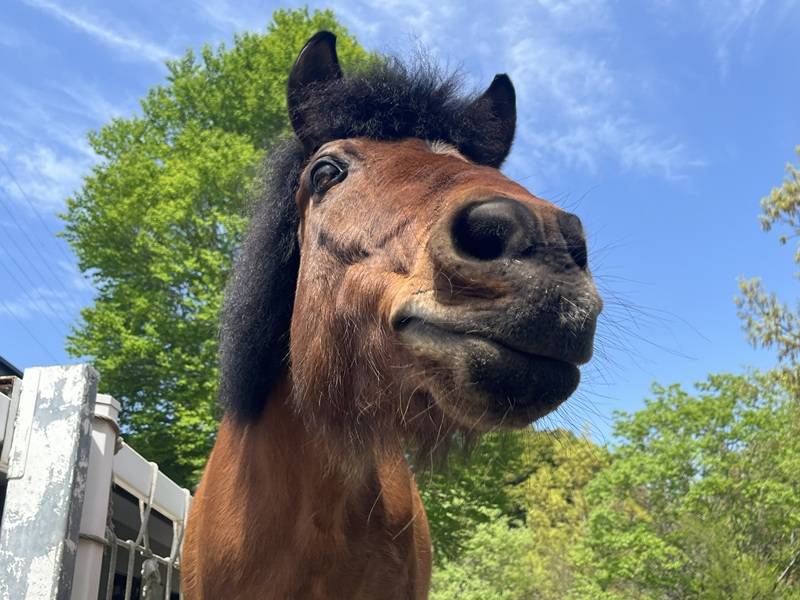 光翔、22歳になりましたの写真