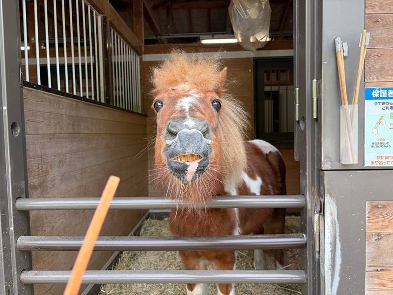 ぱかぱか広場で朝活？？？の写真