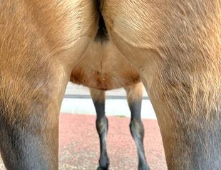 だれの後ろ姿？