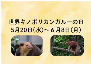 「世界キノボリカンガルーの日」イベントを開催します