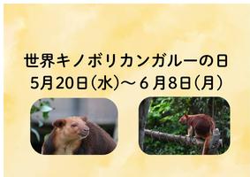 「世界キノボリカンガルーの日」イベントを開催しますの画像