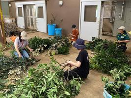 令和８年度【中学生以上対象】一日飼育体験の画像