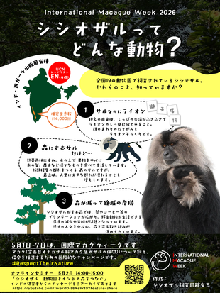 国際マカクウィーク特別イベント オンラインセミナー 「シシオザル 動物園とインドの森をつなぐ」