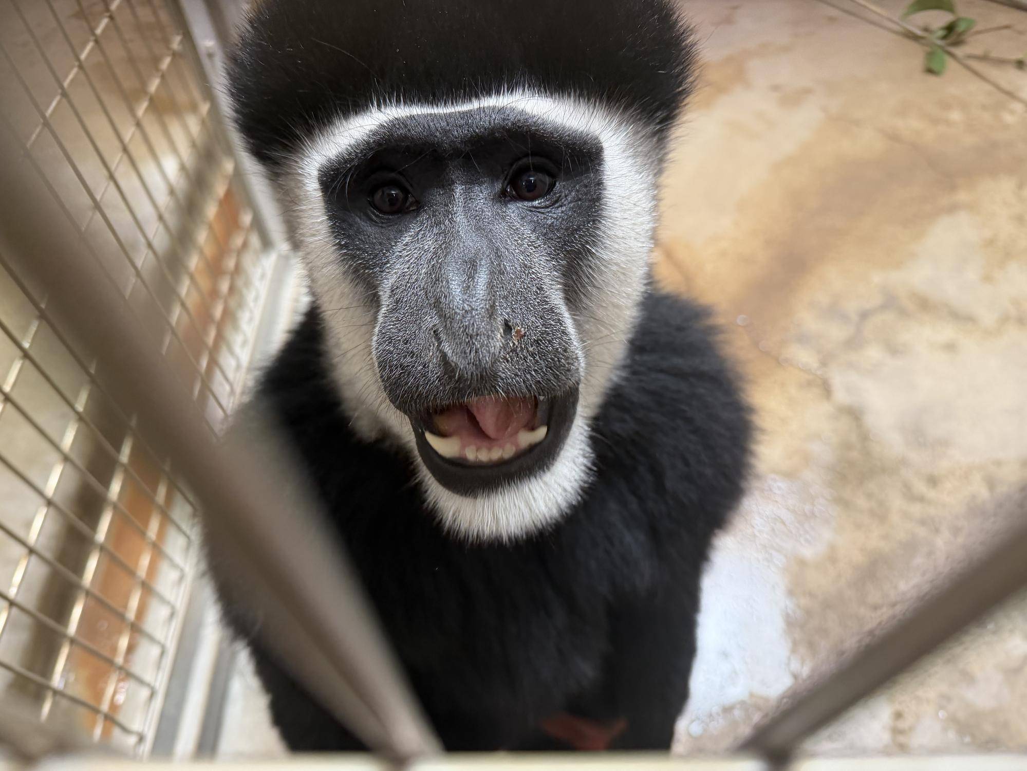 祝、ジュア9歳の写真