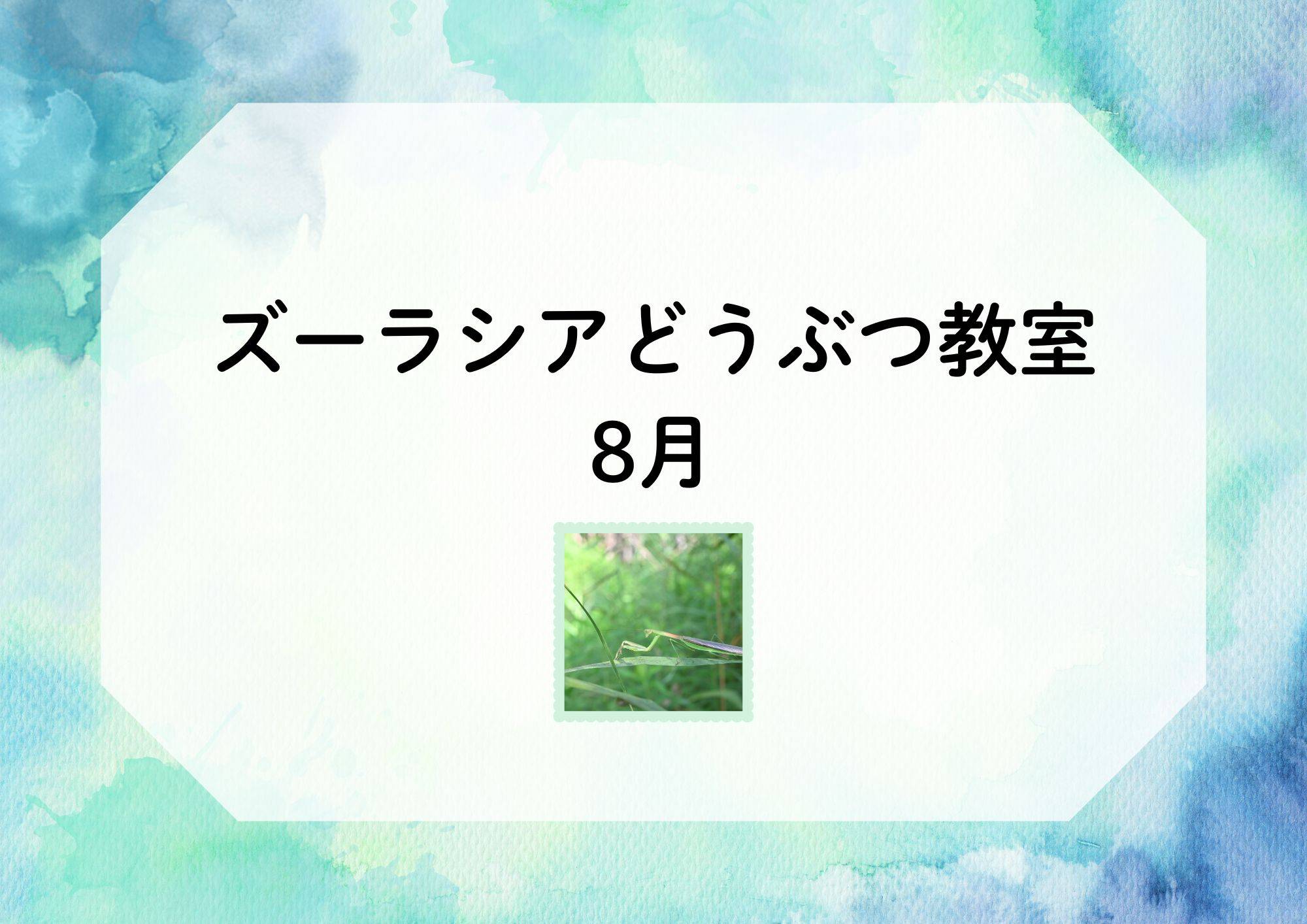 【8月】ズーラシアどうぶつ教室（毎週日曜）の写真