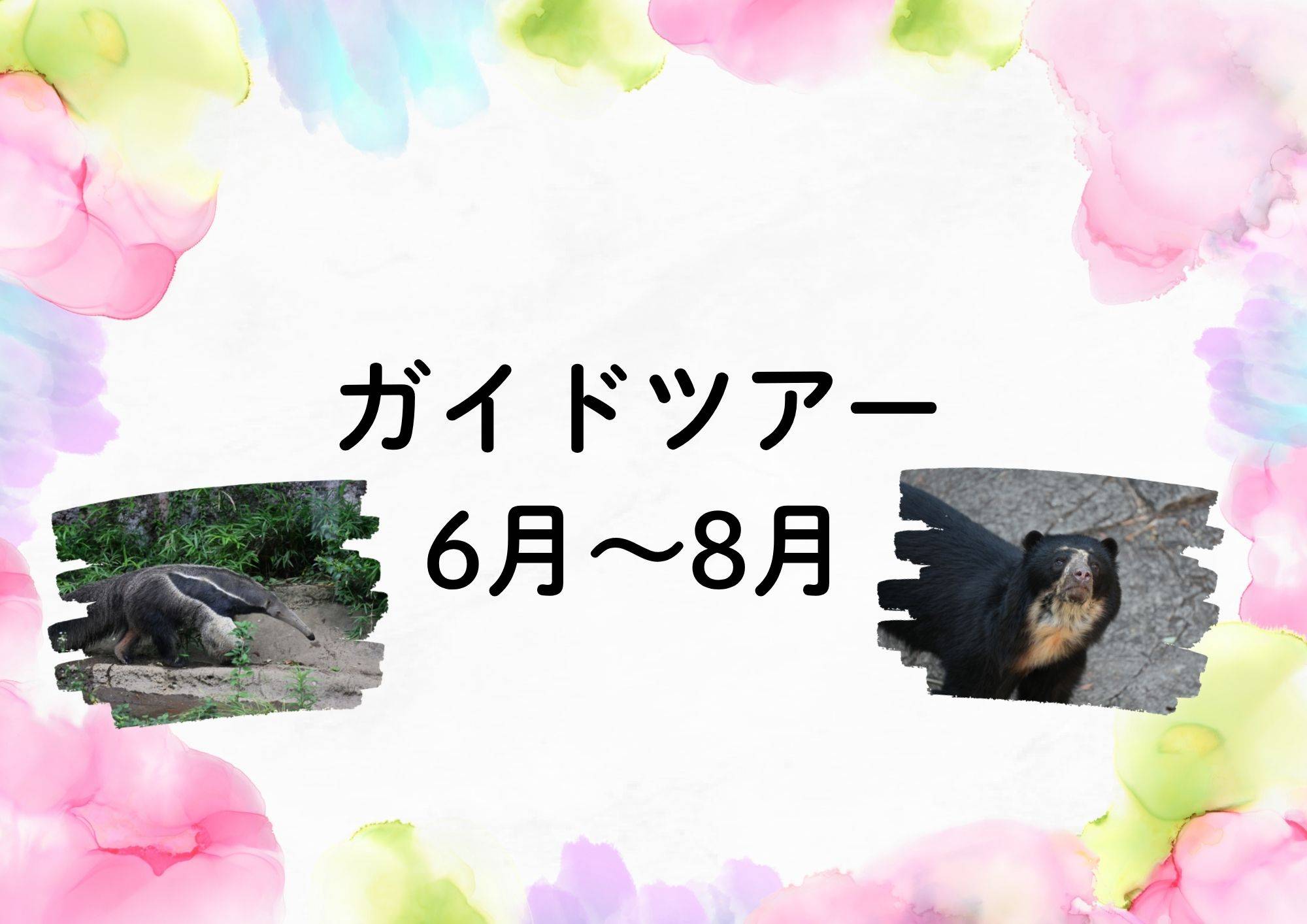 【6月～8月】ガイドツアー（毎週水曜）の写真