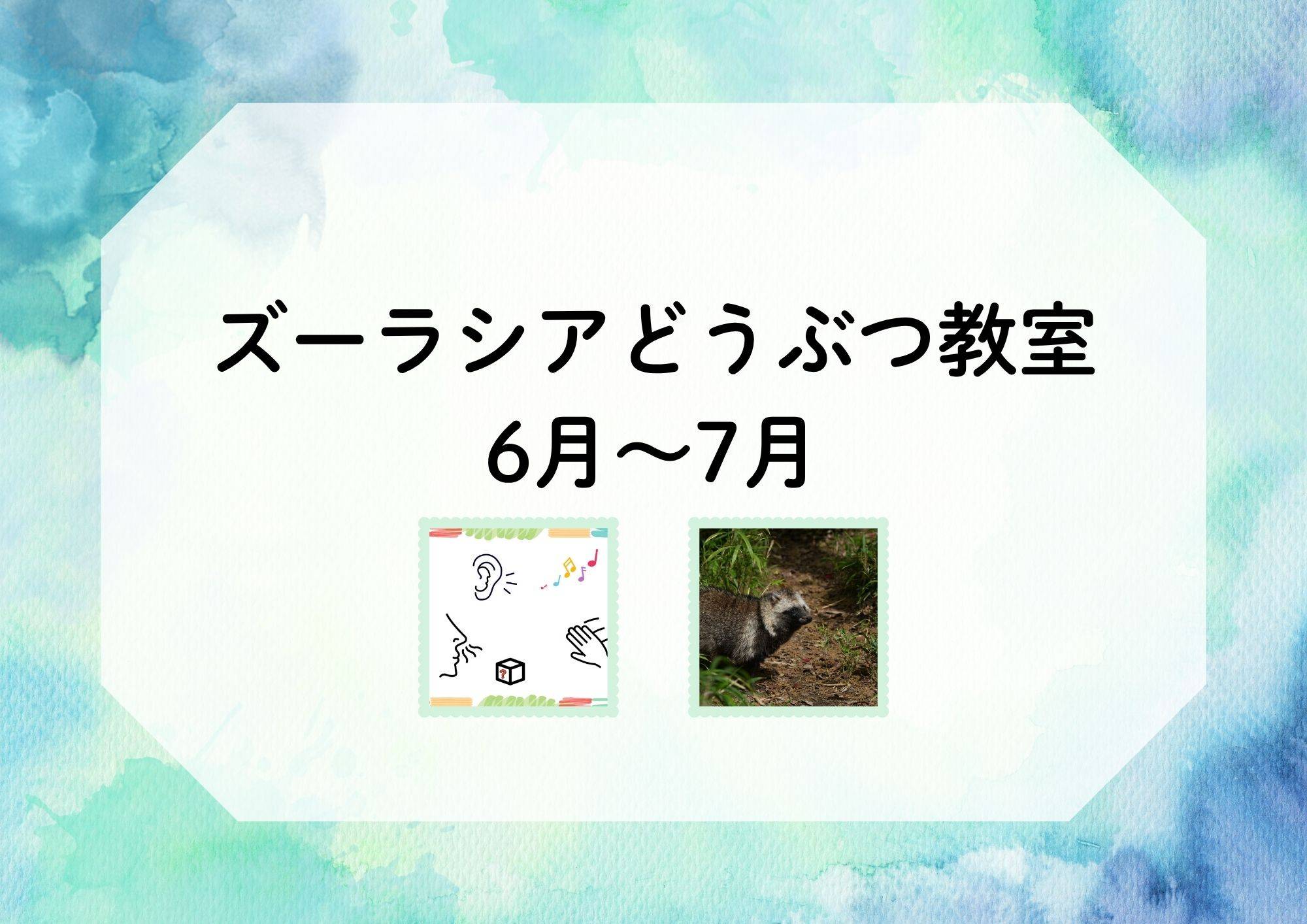 【6月～7月】ズーラシアどうぶつ教室（毎週日曜）の写真