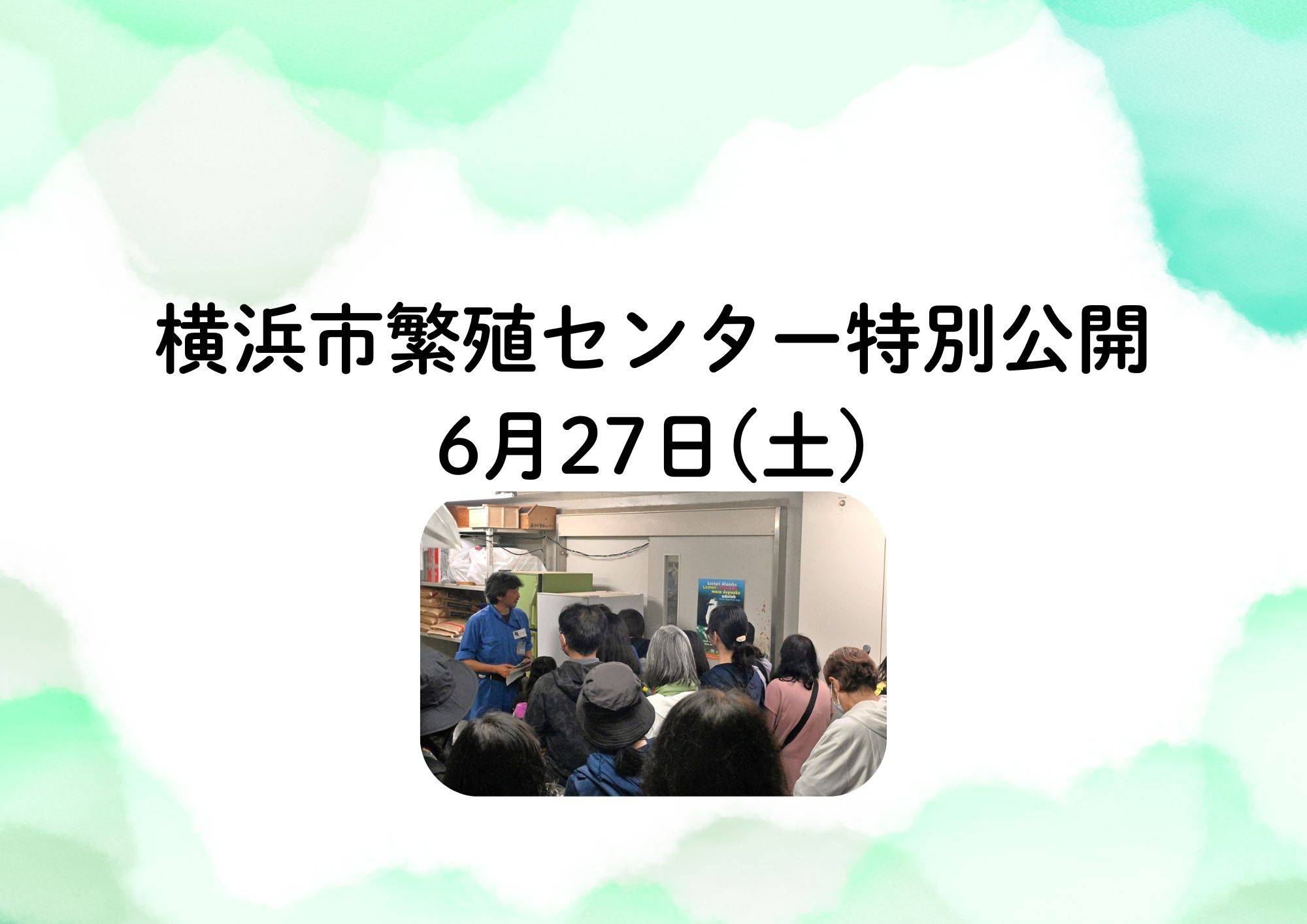 R8年度 横浜市繁殖センター 特別公開の写真