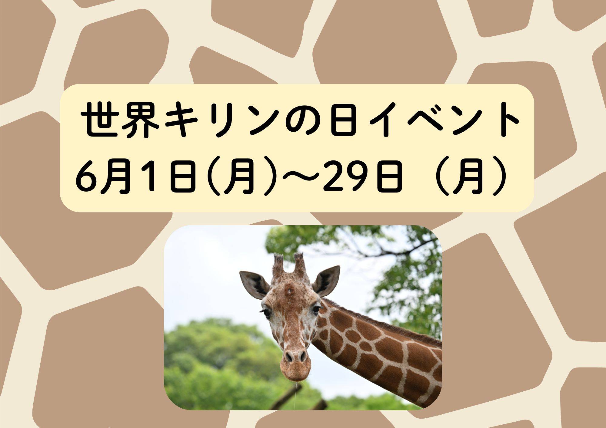 「世界キリンの日」イベントを開催しますの写真