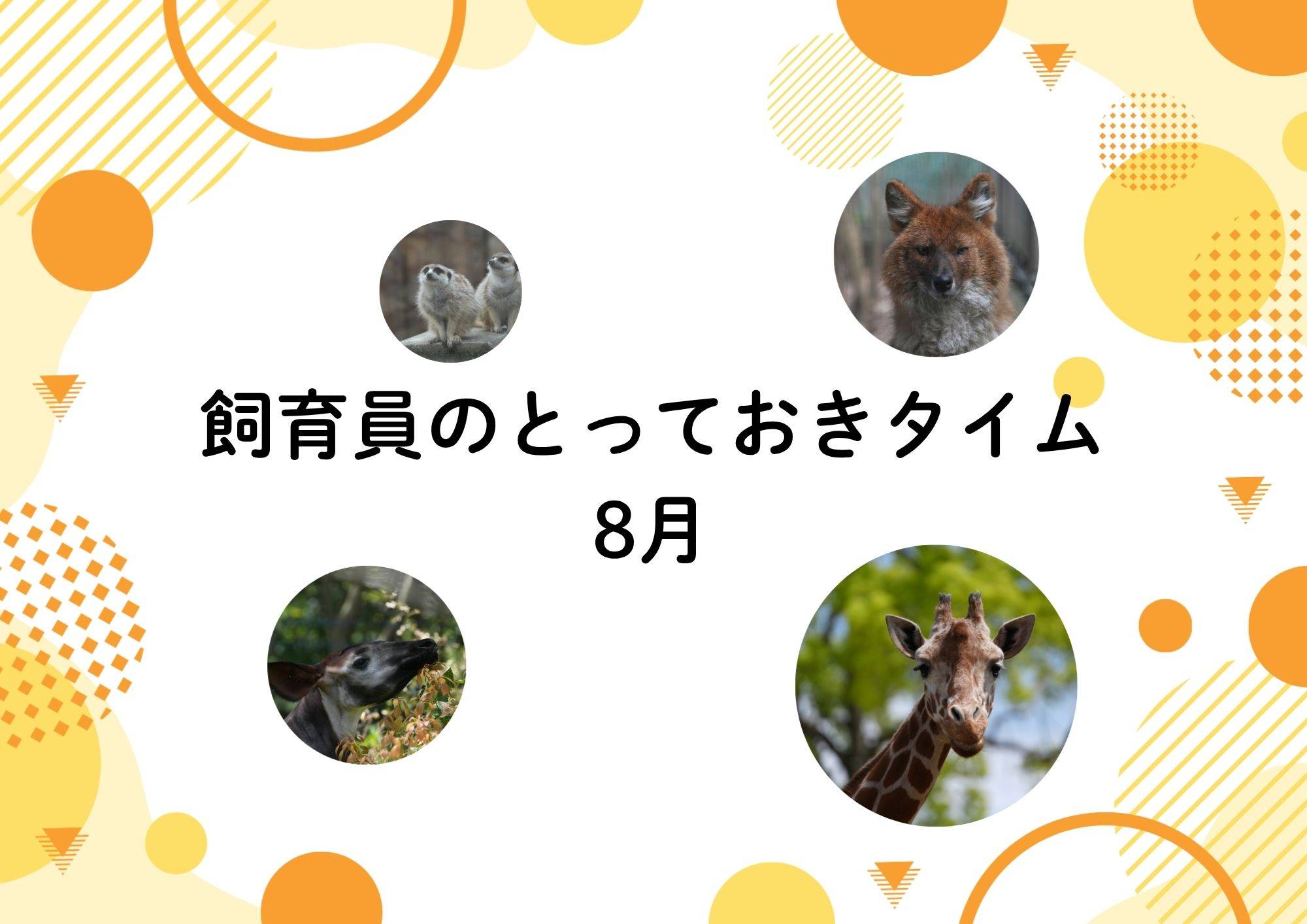 (※5/27更新)【8月】飼育員のとっておきタイムの写真
