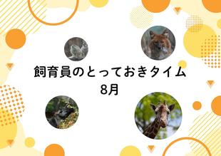 (※5/27更新)【8月】飼育員のとっておきタイム
