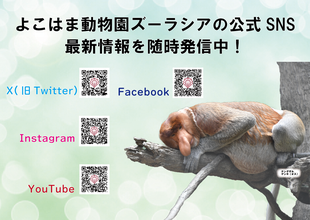 SNS・YouTube 随時発信中！