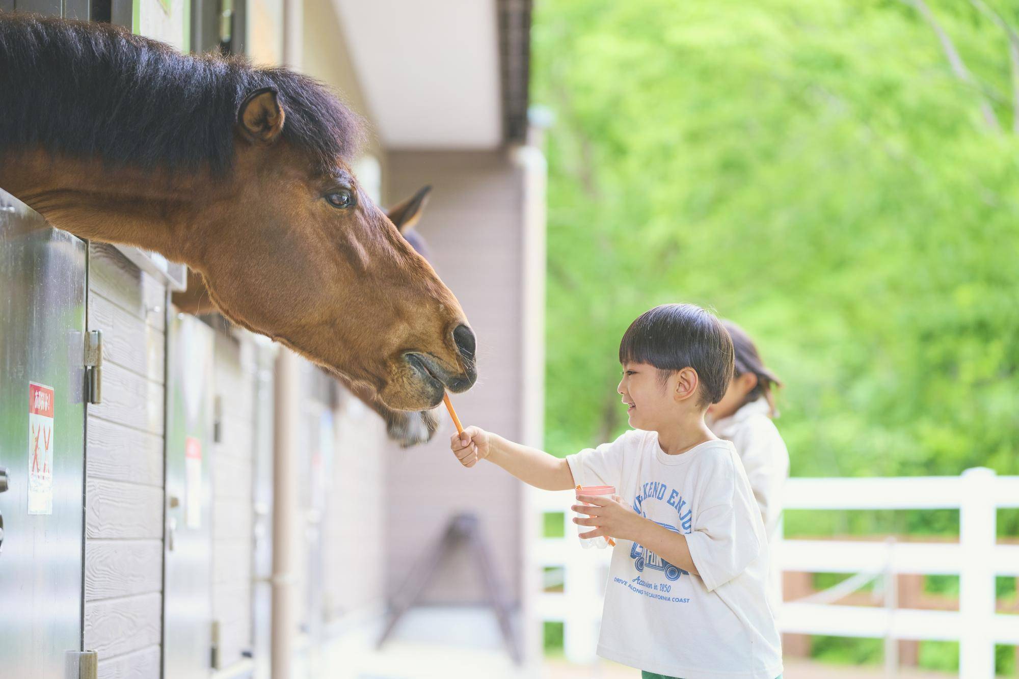ぱかぱか広場の写真