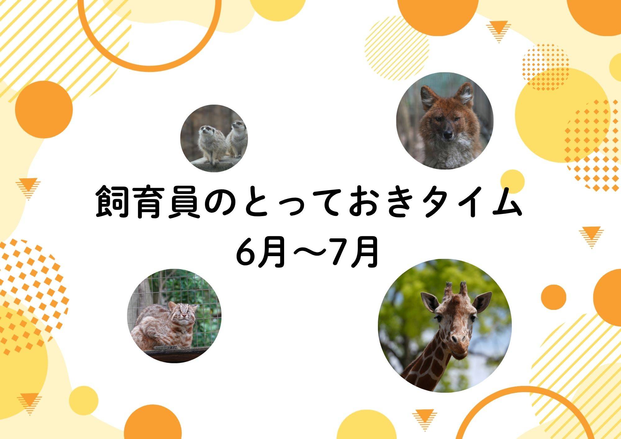 (※5/27更新)【6月～7月】飼育員のとっておきタイムの写真