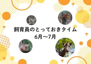 (※5/27更新)【6月～7月】飼育員のとっておきタイム