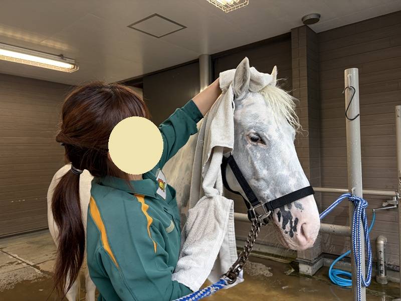 まっしろの秘訣の写真