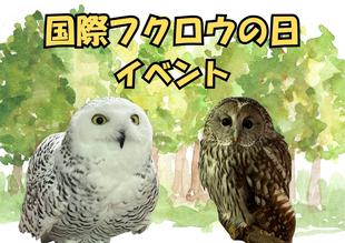 「国際フクロウの日イベント」を実施します