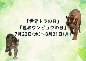 【7/5追記】世界トラの日・世界ウンピョウの日 合同イベントを開催しますの画像