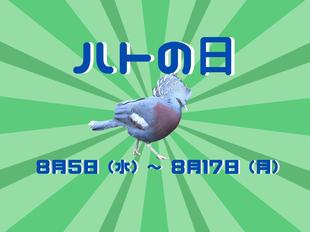 ハトの日イベントを開催します！