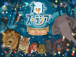 ナイトズーラシア