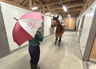 雨の日はトレーニング日和！